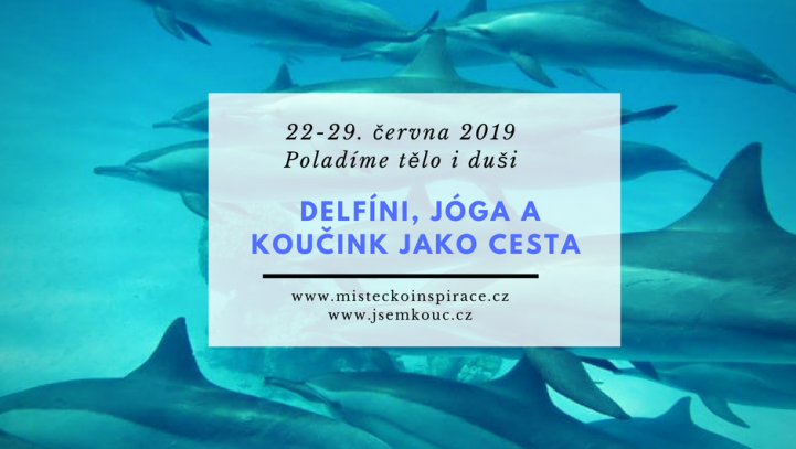 Delfíni, jóga a koučink jako cesta osobního rozvoje anebo Ladíme tělo i duši Delfíni, jóga a koučink jako cesta osobního rozvoje anebo Ladíme tělo i duši